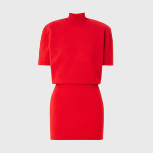 Turtleneck Mini Dress