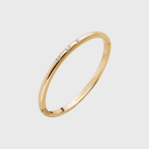 Nadia Classic Hinge Bangle