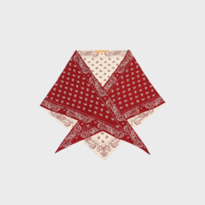 The Wild Rag Triangle Scarf